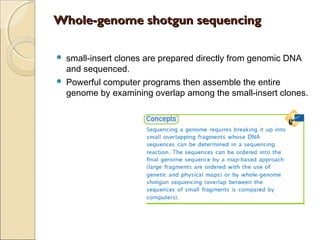 Whole-genome shotgun sequencingWhole-genome shotgun sequencing
 small-insert clones are prepared directly from genomic DNA
and sequenced.
 Powerful computer programs then assemble the entire
genome by examining overlap among the small-insert clones.
 