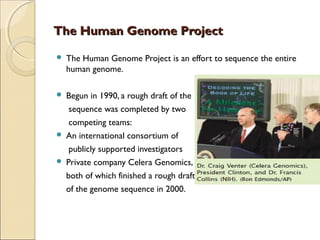 The Human Genome ProjectThe Human Genome Project
 The Human Genome Project is an effort to sequence the entire
human genome.
 Begun in 1990, a rough draft of the
sequence was completed by two
competing teams:
 An international consortium of
publicly supported investigators
 Private company Celera Genomics,
both of which finished a rough draft
of the genome sequence in 2000.
 