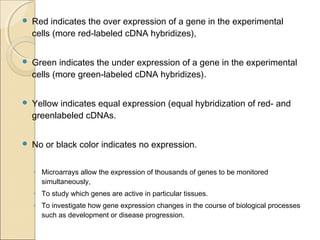  Red indicates the over expression of a gene in the experimental
cells (more red-labeled cDNA hybridizes),
 Green indicates the under expression of a gene in the experimental
cells (more green-labeled cDNA hybridizes).
 Yellow indicates equal expression (equal hybridization of red- and
greenlabeled cDNAs.
 No or black color indicates no expression.
◦ Microarrays allow the expression of thousands of genes to be monitored
simultaneously,
◦ To study which genes are active in particular tissues.
◦ To investigate how gene expression changes in the course of biological processes
such as development or disease progression.
 