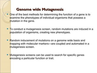 Genome wide MutagenesisGenome wide Mutagenesis
 One of the best methods for determining the function of a gene is to
examine the phenotypes of individual organisms that possess a
mutation in the gene.
 To conduct a mutagenesis screen, random mutations are induced in a
population of organisms, creating new phenotypes.
 Random inducement of mutations on a genome wide basis and
mapping with molecular markers—are coupled and automated in a
mutagenesis screen.
 Mutagenesis screens can be used to search for specific genes
encoding a particular function or trait.
 