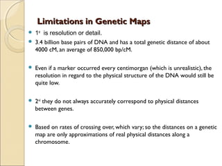 Limitations in Genetic MapsLimitations in Genetic Maps
 1st
is resolution or detail.
 3.4 billion base pairs of DNA and has a total genetic distance of about
4000 cM, an average of 850,000 bp/cM.
 Even if a marker occurred every centimorgan (which is unrealistic), the
resolution in regard to the physical structure of the DNA would still be
quite low.
 2nd
they do not always accurately correspond to physical distances
between genes.
 Based on rates of crossing over, which vary; so the distances on a genetic
map are only approximations of real physical distances along a
chromosome.
 