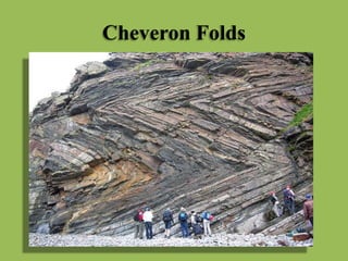 Cheveron Folds
 