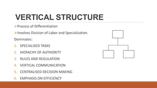 VERTICAL STRUCTURE
Process of Differentiation
Involves Division of Labor and Specialization.
Dominates:
1. SPECIALISED TASKS
2. HIERACHY OF AUTHORITY
3. RULES AND REGULATION
4. VERTICAL COMMUNICATION
5. CENTRALISED DECISION MAKING
6. EMPHASIS ON EFFICIENCY
 