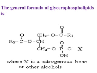 The general formula of glycerophospholipids
is:
 