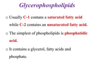 Glycerophospholipids
o Usually C-1 contans a saturated fatty acid
while C-2 contains an unsaturated fatty acid.
o The simplest of phospholipids is phosphatidic
acid.
o It contains a glycerol, fatty acids and
phosphate.
 