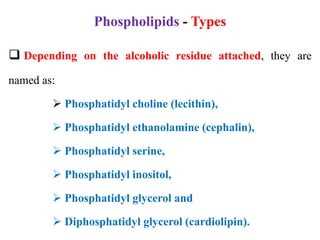 Phospholipids - Types
 Depending on the alcoholic residue attached, they are
named as:
 Phosphatidyl choline (lecithin),
 Phosphatidyl ethanolamine (cephalin),
 Phosphatidyl serine,
 Phosphatidyl inositol,
 Phosphatidyl glycerol and
 Diphosphatidyl glycerol (cardiolipin).
 