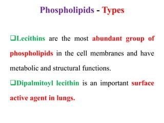 Phospholipids - Types
Lecithins are the most abundant group of
phospholipids in the cell membranes and have
metabolic and structural functions.
Dipalmitoyl lecithin is an important surface
active agent in lungs.
 