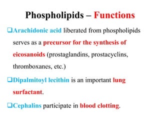 Phospholipids – Functions
Arachidonic acid liberated from phospholipids
serves as a precursor for the synthesis of
eicosanoids (prostaglandins, prostacyclins,
thromboxanes, etc.)
Dipalmitoyl lecithin is an important lung
surfactant.
Cephalins participate in blood clotting.
 