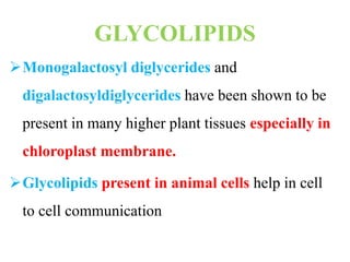 GLYCOLIPIDS
Monogalactosyl diglycerides and
digalactosyldiglycerides have been shown to be
present in many higher plant tissues especially in
chloroplast membrane.
Glycolipids present in animal cells help in cell
to cell communication
 