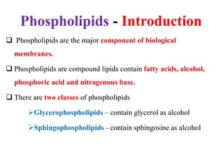 Phospholipids - Introduction
 Phospholipids are the major component of biological
membranes.
 Phospholipids are compound lipids contain fatty acids, alcohol,
phosphoric acid and nitrogenous base.
 There are two classes of phospholipids
Glycerophospholipids – contain glycerol as alcohol
Sphingophospholipids - contain sphingosine as alcohol
 