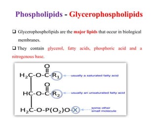 Phospholipids - Glycerophospholipids
 Glycerophospholipids are the major lipids that occur in biological
membranes.
 They contain glycerol, fatty acids, phosphoric acid and a
nitrogenous base.
 