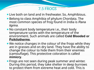 Detailed Structural and Functional Anatomy of Cockroach and Frog | PPTX