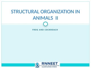 Detailed Structural and Functional Anatomy of Cockroach and Frog | PPTX