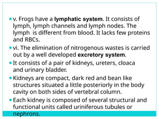 Detailed Structural and Functional Anatomy of Cockroach and Frog | PPTX