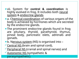 Detailed Structural and Functional Anatomy of Cockroach and Frog | PPTX