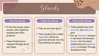 To Secrete Structural Organisation In Animals CBSE CLASS - 11th NEET BIOLOGY.pdf