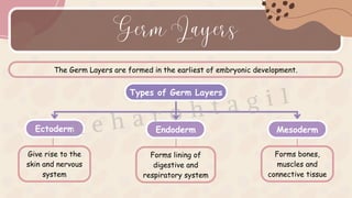Structural Organisation In Animals CBSE CLASS - 11th NEET BIOLOGY.pdf
