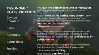 Frog Introduction Structural organisation in frogs morphology and anatomy.pptx
