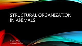 STRUCTURAL ORGANIZATION
IN ANIMALS
By Usha.P.Rao
Lectures in biology
 