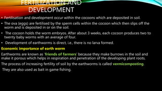FERTILIZATION AND
DEVELOPMENT
• Fertilisation and development occur within the cocoons which are deposited in soil.
• The ova (eggs) are fertilised by the sperm cells within the cocoon which then slips off the
worm and is deposited in or on the soil.
• The cocoon holds the worm embryos. After about 3 weeks, each cocoon produces two to
twenty baby worms with an average of four.
• Development of earthworms is direct, i.e., there is no larva formed.
Economic importance of earth worm
Earthworms are known as ‘friends of farmers’ because they make burrows in the soil and
make it porous which helps in respiration and penetration of the developing plant roots.
The process of increasing fertility of soil by the earthworms is called vermicomposting.
They are also used as bait in game fishing.
 