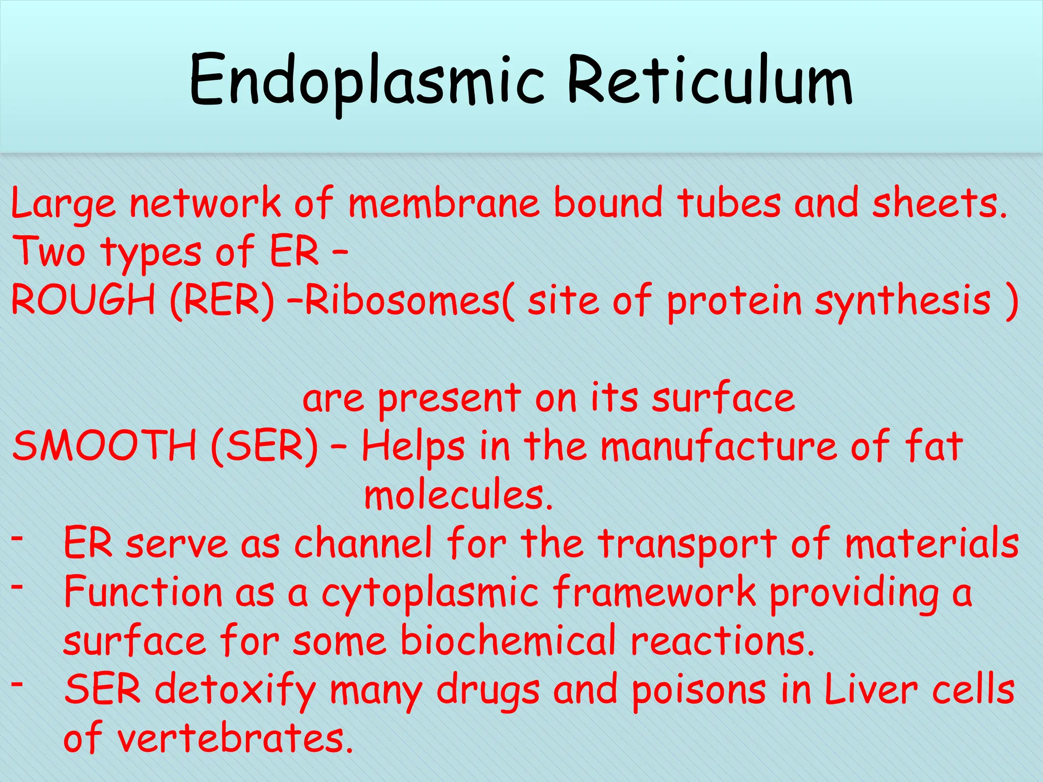 Chloroplasts (plant cells)
Large network of membrane bound tubes and sheets.
Two types of ER –
ROUGH (RER) –Ribosomes( site of protein synthesis )
are present on its surface
SMOOTH (SER) – Helps in the manufacture of fat
molecules.
- ER serve as channel for the transport of materials
- Function as a cytoplasmic framework providing a
surface for some biochemical reactions.
- SER detoxify many drugs and poisons in Liver cells
of vertebrates.
Endoplasmic Reticulum
 