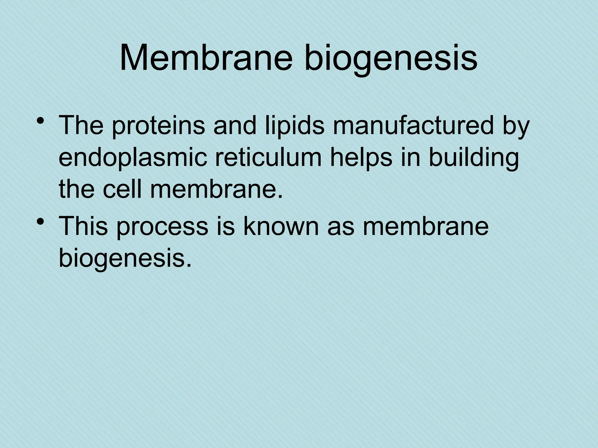 Membrane biogenesis
• The proteins and lipids manufactured by
endoplasmic reticulum helps in building
the cell membrane.
• This process is known as membrane
biogenesis.
 