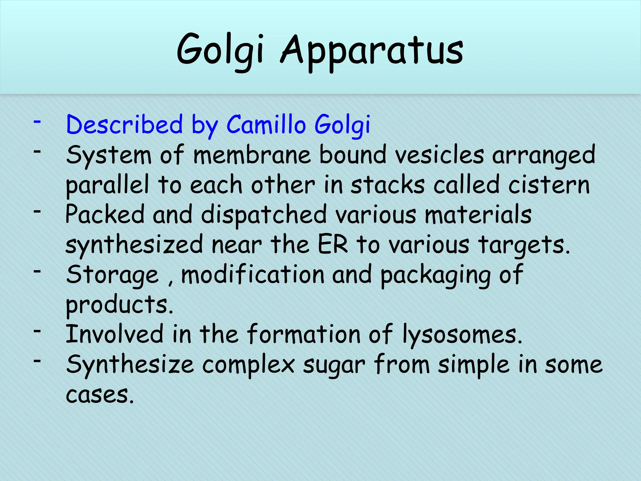 Chloroplasts (plant cells)
- Described by Camillo Golgi
- System of membrane bound vesicles arranged
parallel to each other in stacks called cistern
- Packed and dispatched various materials
synthesized near the ER to various targets.
- Storage , modification and packaging of
products.
- Involved in the formation of lysosomes.
- Synthesize complex sugar from simple in some
cases.
Golgi Apparatus
 