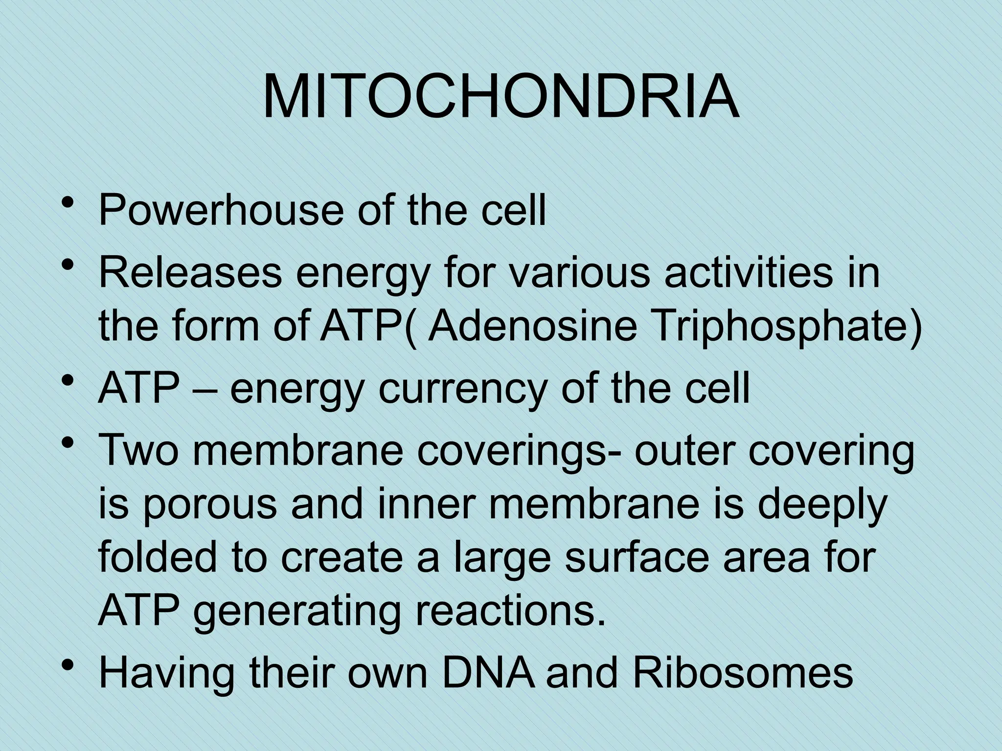 MITOCHONDRIA
• Powerhouse of the cell
• Releases energy for various activities in
the form of ATP( Adenosine Triphosphate)
• ATP – energy currency of the cell
• Two membrane coverings- outer covering
is porous and inner membrane is deeply
folded to create a large surface area for
ATP generating reactions.
• Having their own DNA and Ribosomes
 