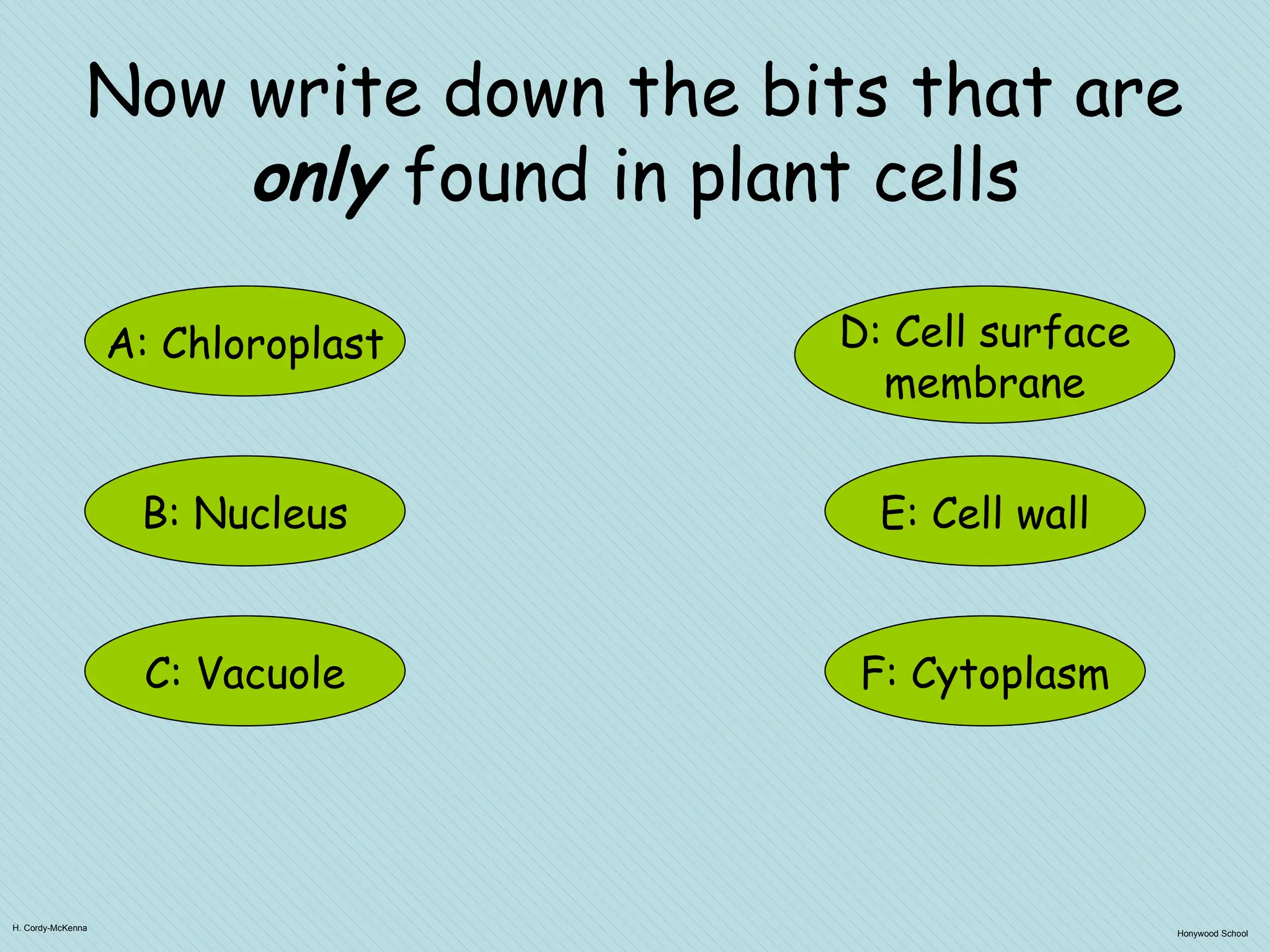 H. Cordy-McKenna
Honywood School
Now write down the bits that are
only found in plant cells
A: Chloroplast
F: Cytoplasm
B: Nucleus
C: Vacuole
E: Cell wall
D: Cell surface
membrane
 
