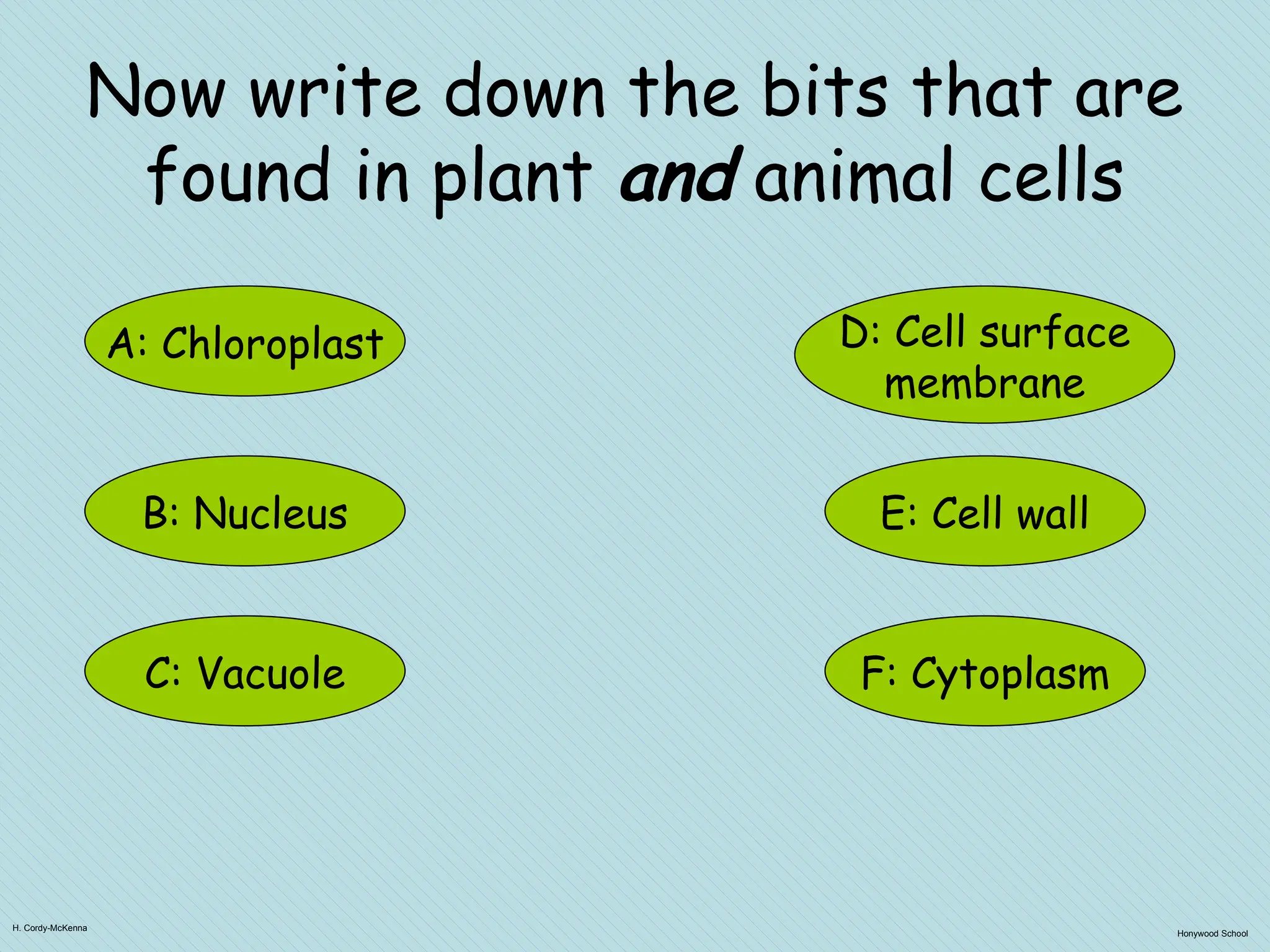 H. Cordy-McKenna
Honywood School
Now write down the bits that are
found in plant and animal cells
A: Chloroplast
F: Cytoplasm
B: Nucleus
C: Vacuole
E: Cell wall
D: Cell surface
membrane
 