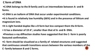 C form of DNA
•C-DNA belongs to the B-family and is an intermediate between A- and B-
forms.
•C-DNA is an isoform of DNA that occur under experimental conditions.
•It is found in relatively low humidity (66%) and in the presence of lithium and
magnesium ions.
•It is right handed duplex like a B form but less compact them the B-form.
• It has a diameter of 19 A°, smaller than that of A- and B- DNA.
•Previous x-ray diffraction studies have suggested that the C- form is poorly
favoured confirmation.
•C- form should be visualised as a family of related structures and suggested
that continuous smooth transitions occurs between the various members of the
C- family between B and C forms.
 