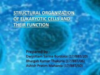 STRUCTURAL ORGANIZATION
OF EUKARYOTIC CELLS AND
THEIR FUNCTION
Prepared by -
Dwijottam Sarma Bordoloi (17/BBT/20)
Bhargab Kumar Thakuria (17/BBT/06)
Ashish Pratim Mahanta (17/BBT/60)
 