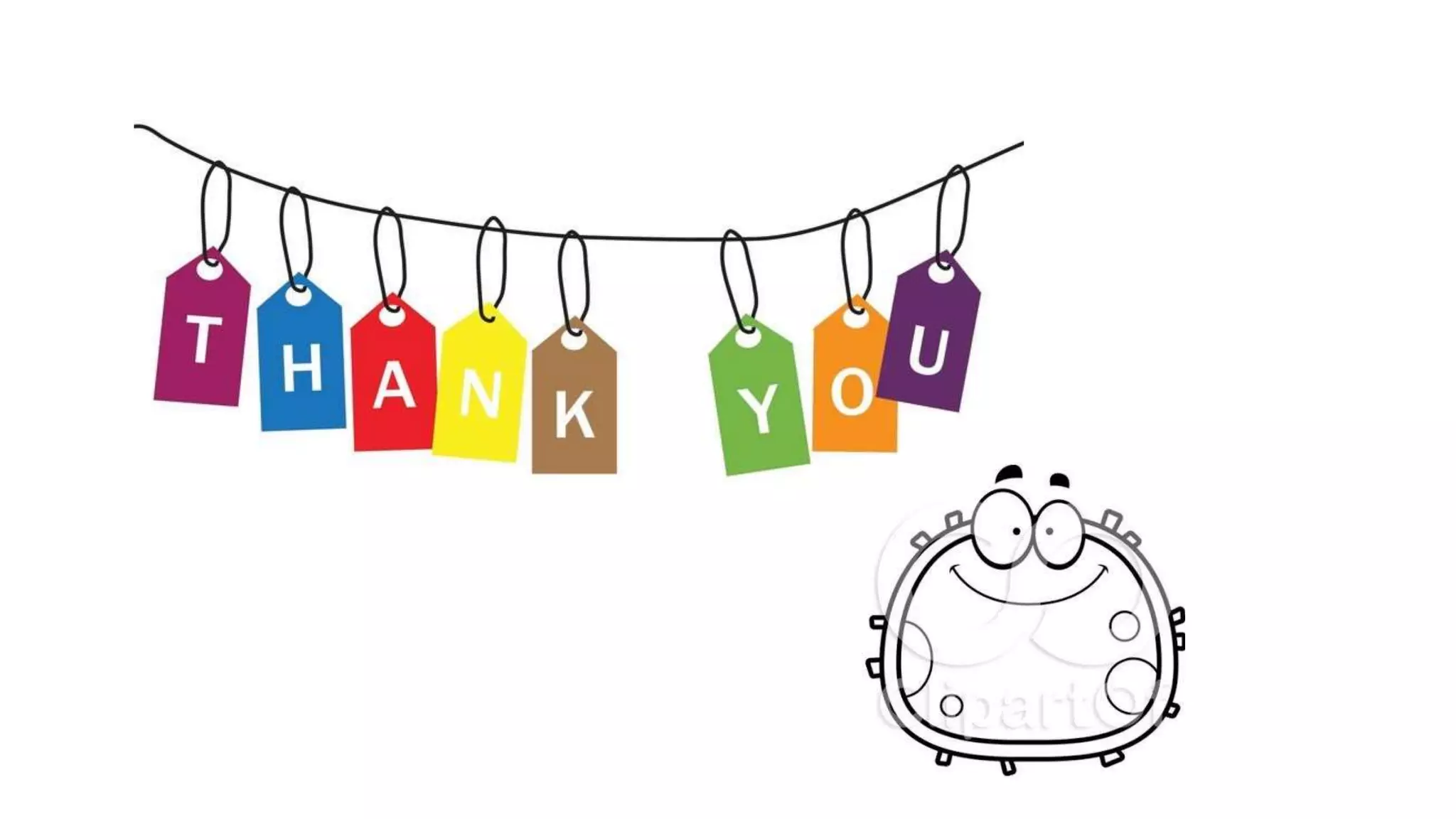 STRUCTURAL ORGANIZATION OF PROTEINS