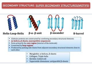 Comprehensive Overview of Protein Structural Organization and Function ...