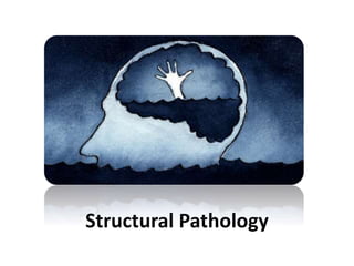 Structural Pathology
 