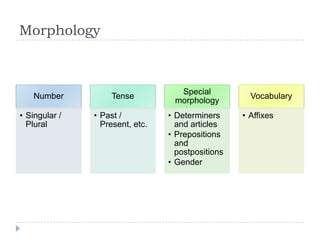 Morphology
Number
• Singular /
Plural
Tense
• Past /
Present, etc.
Special
morphology
• Determiners
and articles
• Prepositions
and
postpositions
• Gender
Vocabulary
• Affixes
 