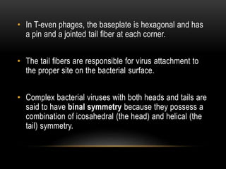 Structural symmetry of viruses | PPTX
