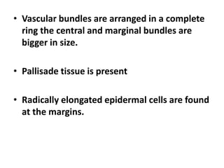 • Vascular bundles are arranged in a complete
ring the central and marginal bundles are
bigger in size.
• Pallisade tissue is present
• Radically elongated epidermal cells are found
at the margins.
 