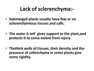 Lack of sclerenchyma:-
• Submerged plants usually have few or no
sclerenchymtous tissues and calls.
• The water it self gives support to the plant,and
protects it to some extent from injury.
• Thethick walls of tissues, their density and the
presence of collenchyma in some plants give
some rigidity.
 