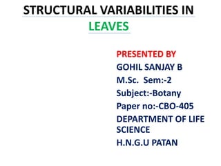 STRUCTURAL VARIABILITIES IN
LEAVES
PRESENTED BY
GOHIL SANJAY B
M.Sc. Sem:-2
Subject:-Botany
Paper no:-CBO-405
DEPARTMENT OF LIFE
SCIENCE
H.N.G.U PATAN
 