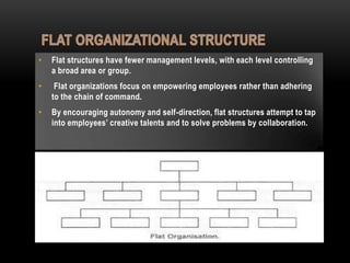 Organizational Structure | PPTX