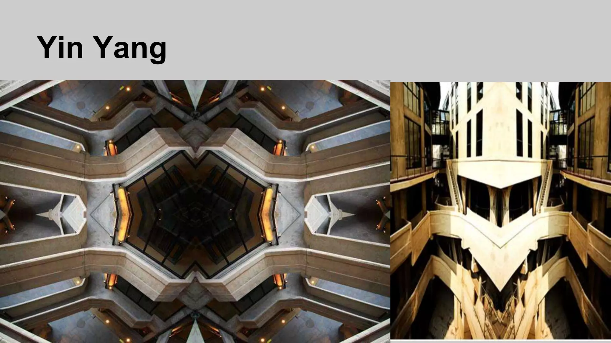 Yin Yang
 