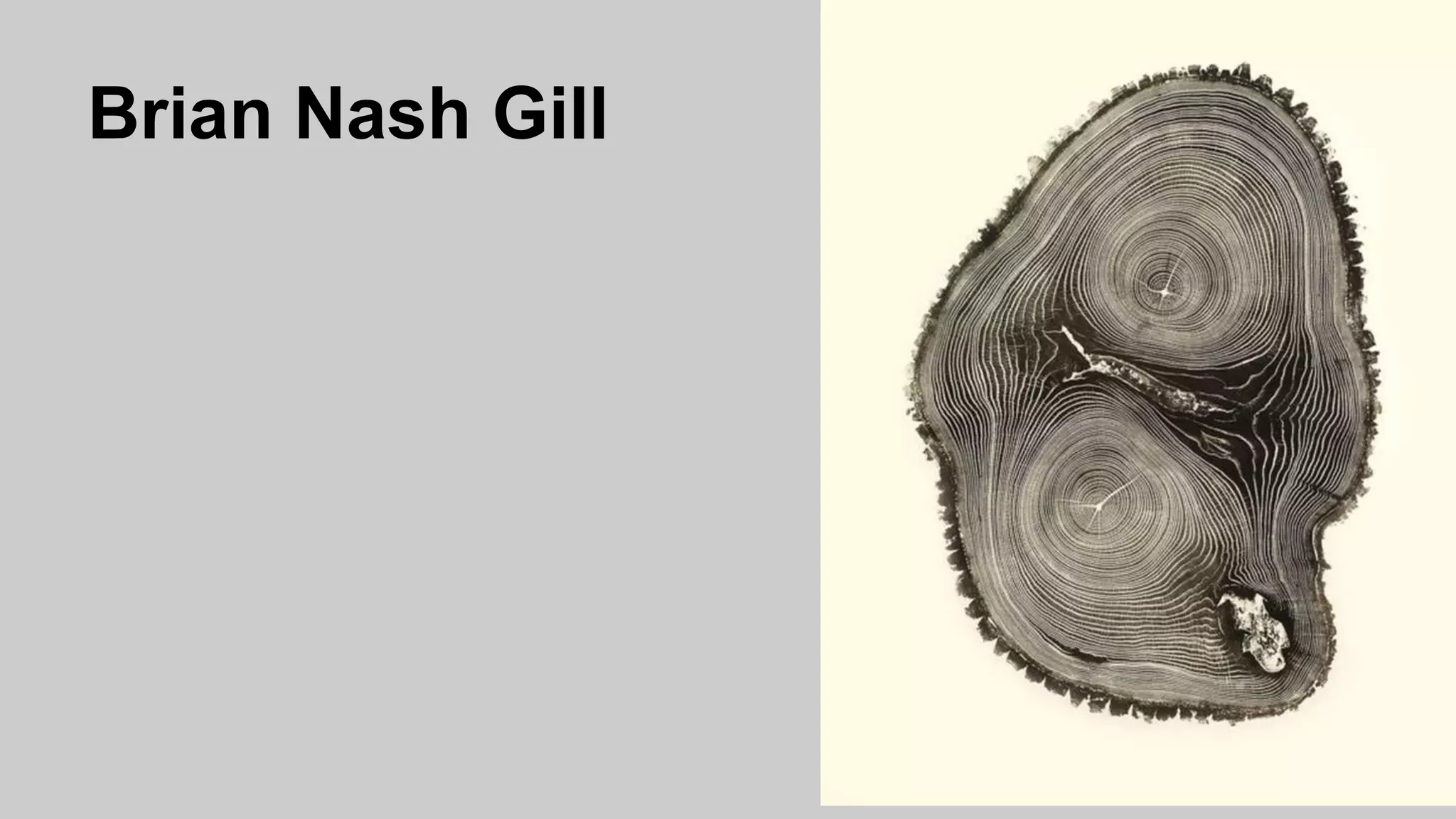 Brian Nash Gill
 
