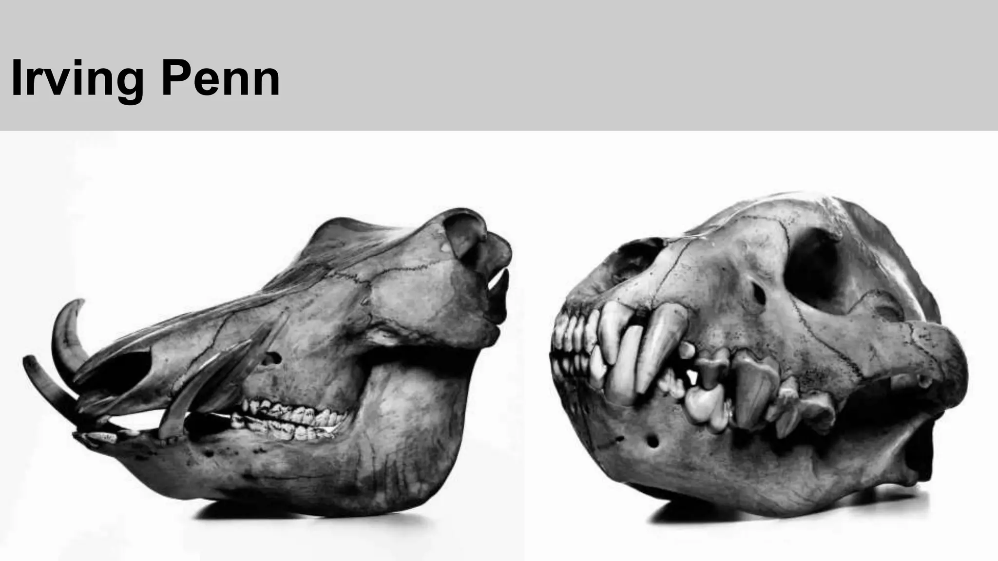 Irving Penn
 