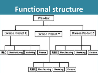Functional structure
 