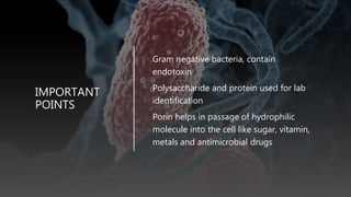 IMPORTANT
POINTS
• Gram negative bacteria, contain
endotoxin
• Polysaccharide and protein used for lab
identification
• Porin helps in passage of hydrophilic
molecule into the cell like sugar, vitamin,
metals and antimicrobial drugs
 