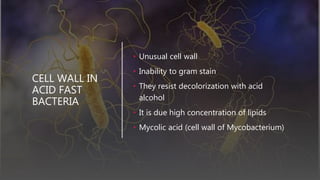 CELL WALL IN
ACID FAST
BACTERIA
• Unusual cell wall
• Inability to gram stain
• They resist decolorization with acid
alcohol
• It is due high concentration of lipids
• Mycolic acid (cell wall of Mycobacterium)
 