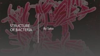 STRUCTURE
OF BACTERIA • By Saba
 