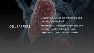 CELL BARRIERS
• Cell barriers include cell membrane and
peptidoglycan cell wall.
• The structure, chemical composition and
thickness is different in both gram
negative and gram positive bacteria.
 