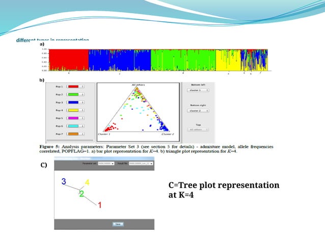 population structure software: detailed analysis method | PPT